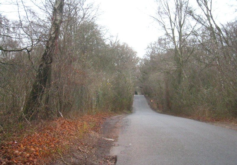 File:Lane near Scrubs Bridge (geograph 2755863).jpg