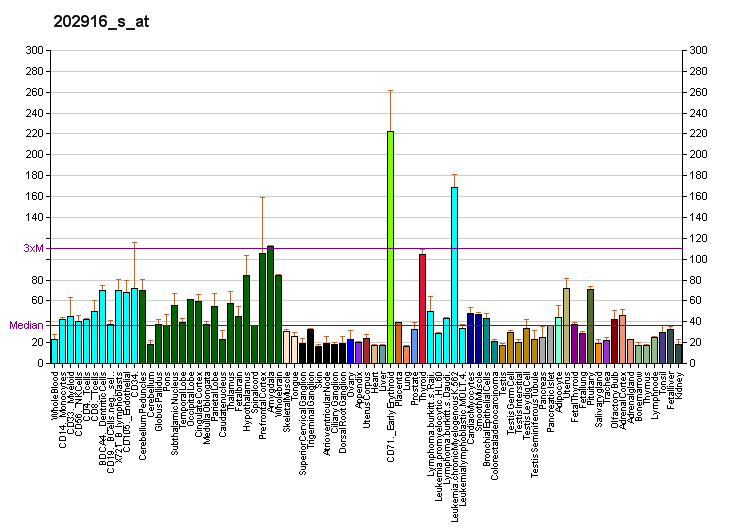 File:PBB GE FAM20B 202916 s at fs.png