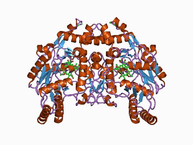 File:PDB 1d0c EBI.jpg