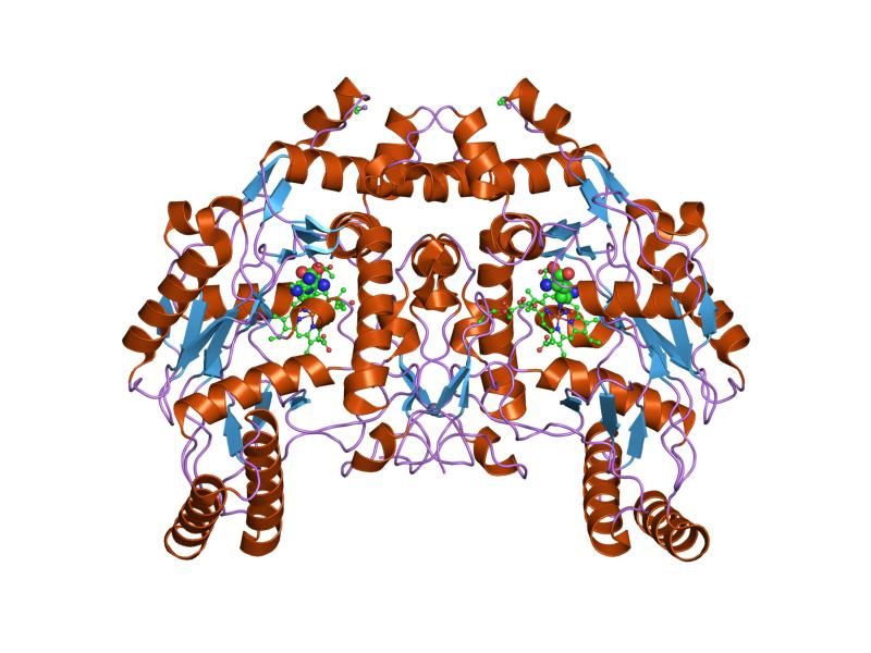 File:PDB 1foo EBI.jpg