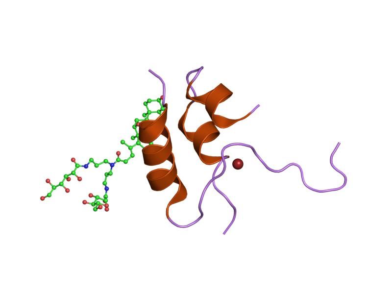 File:PDB 1imx EBI.jpg