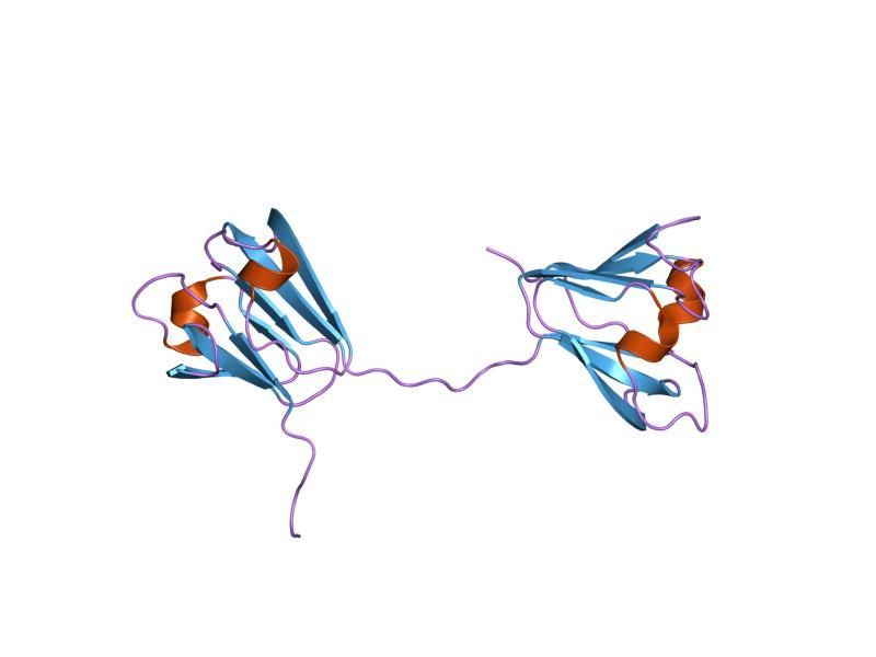 File:PDB 1ytq EBI.jpg