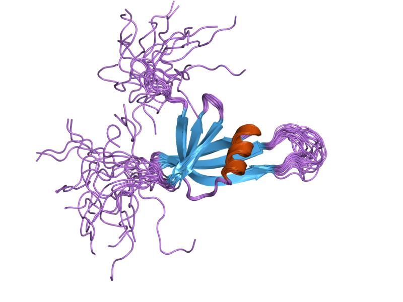 File:PDB 2cqa EBI.jpg