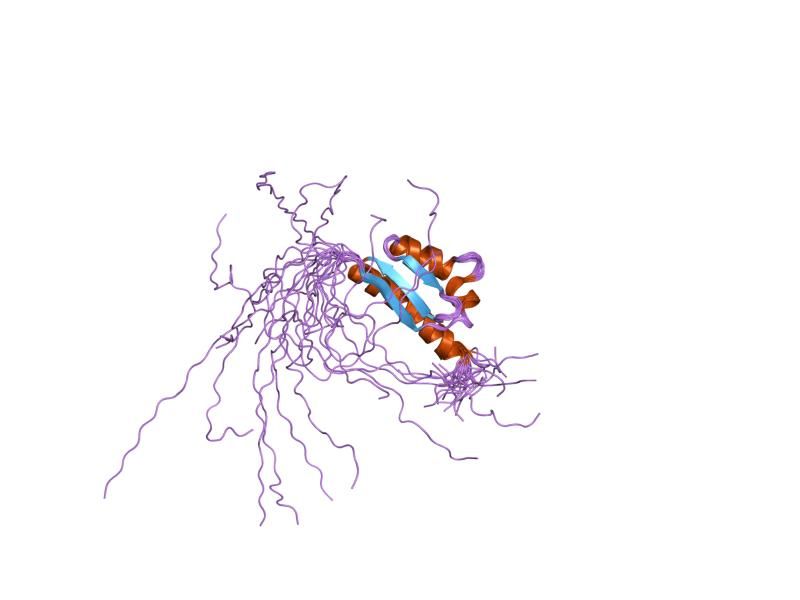 File:PDB 2ctf EBI.jpg