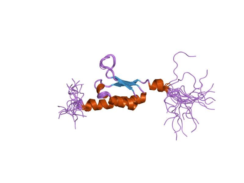 File:PDB 2ctl EBI.jpg