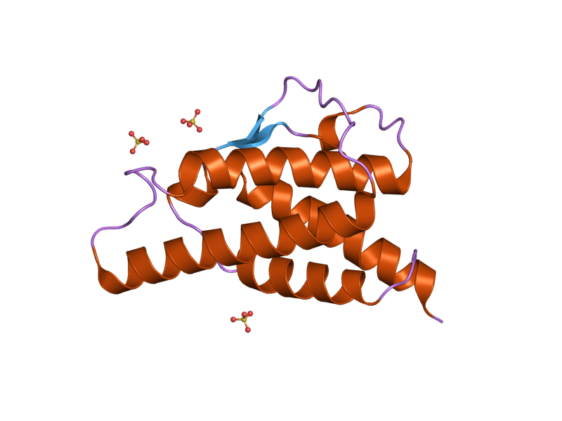 File:PDB 2d48 EBI.png