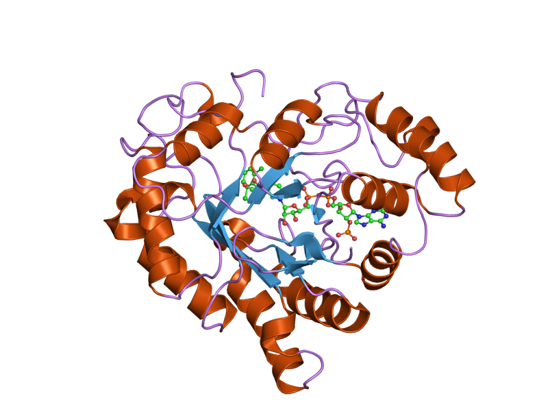 File:PDB 2is7 EBI.png