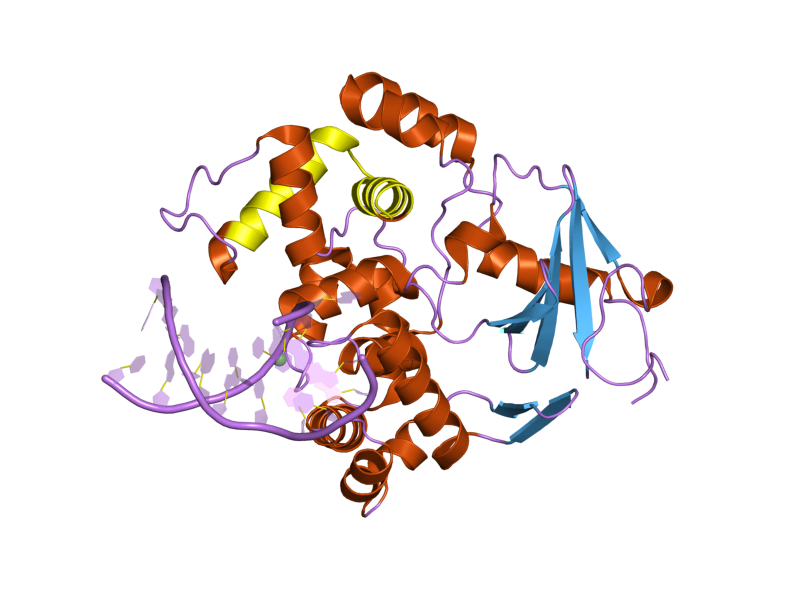 File:PDB 2noi EBI.png