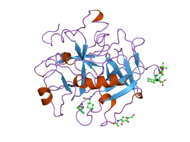 File:PDB 4thn EBI.jpg