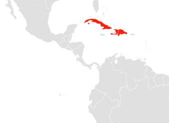 File:Phyllonycteris poeyi map.png