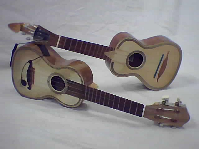 File:Vea.cavaquinho.png