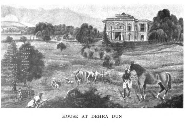 File:Young Dehra Dun.jpg