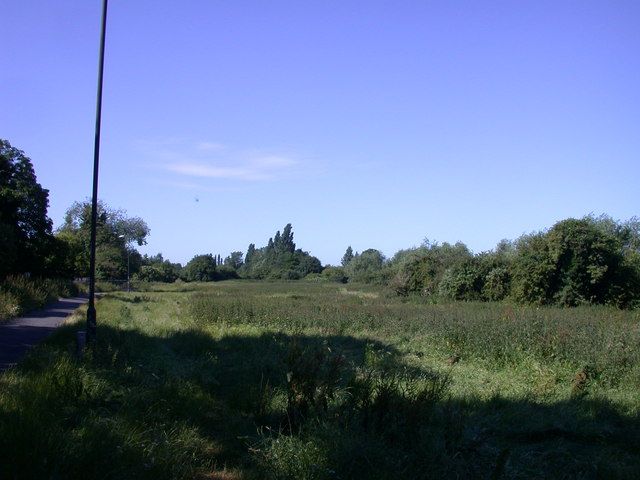 File:Coldham's Common - geograph.org.uk - 867534.jpg