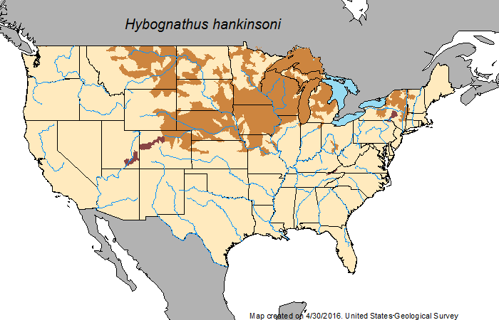 File:Hybognathus hankinsoni map.png