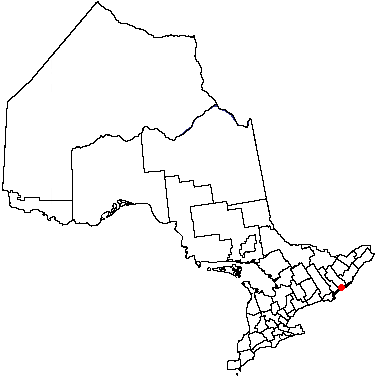 File:Kingston, Ontario Location.png