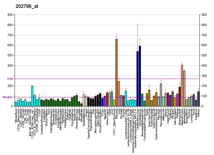 File:PBB GE SYNPO 202796 at fs.png