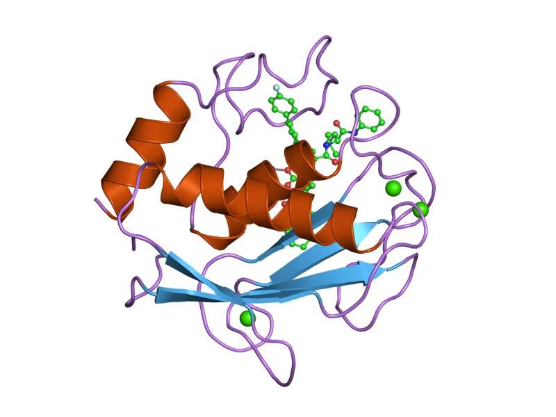 File:PDB 1hfs EBI.jpg