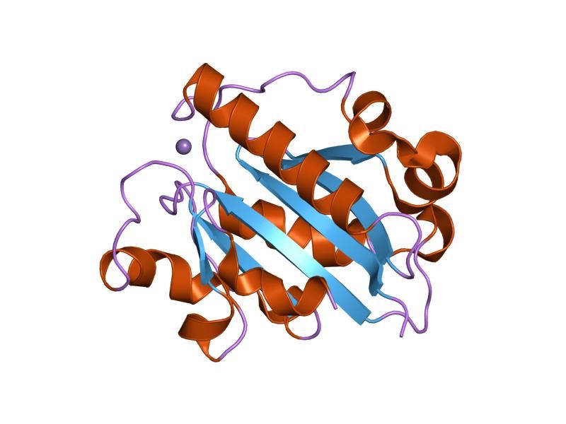 File:PDB 1mq9 EBI.jpg