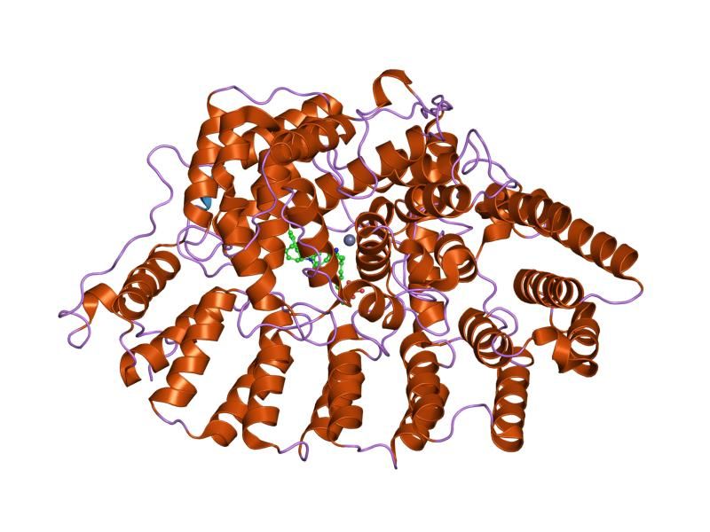 File:PDB 1n95 EBI.jpg