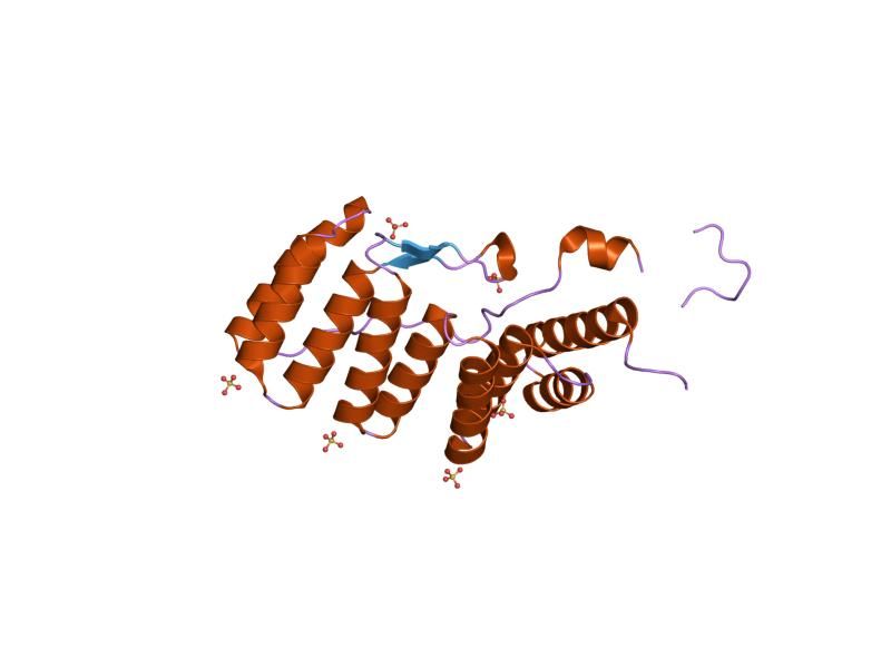 File:PDB 1wm5 EBI.jpg