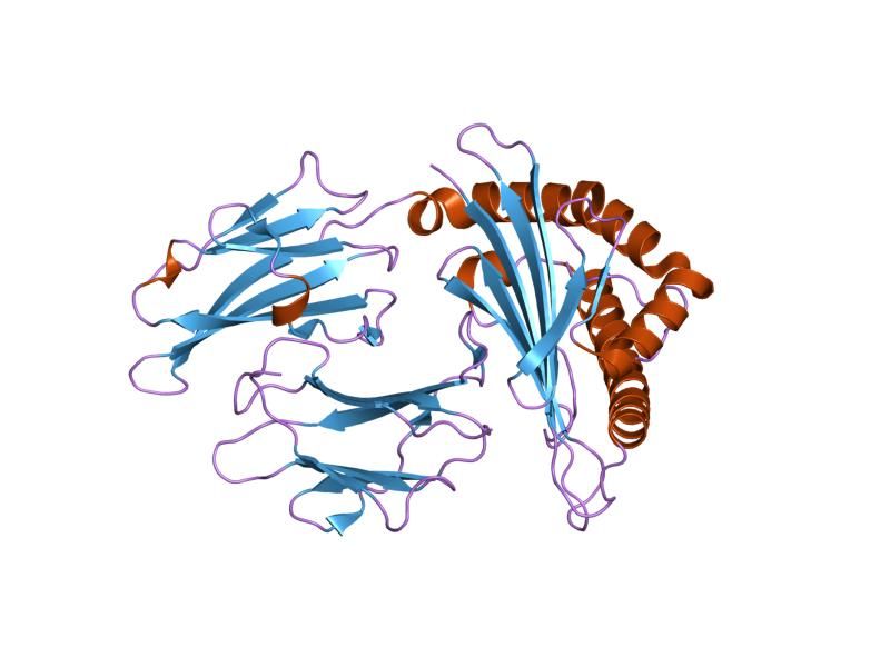 File:PDB 1zsd EBI.jpg