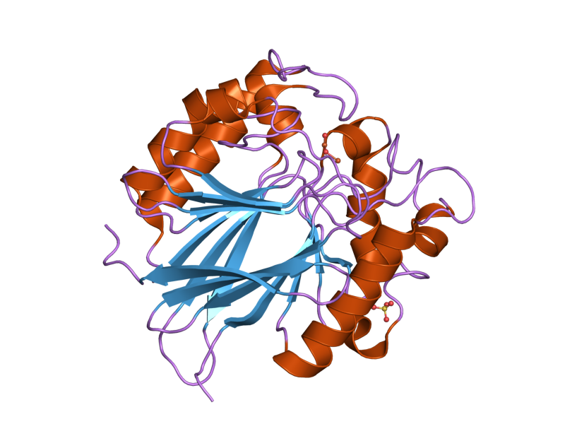 File:PDB 2bq8 EBI.png