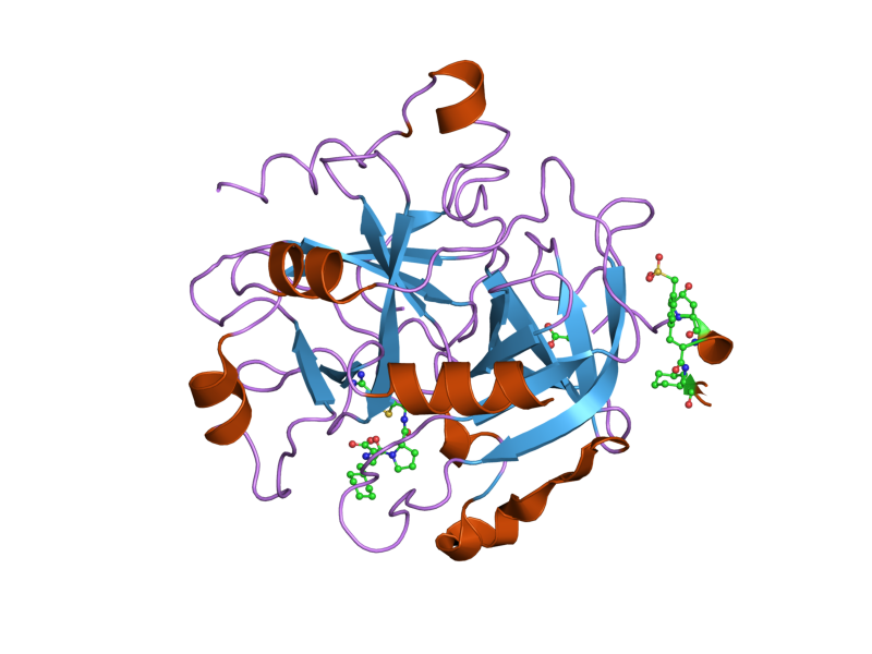 File:PDB 2feq EBI.png