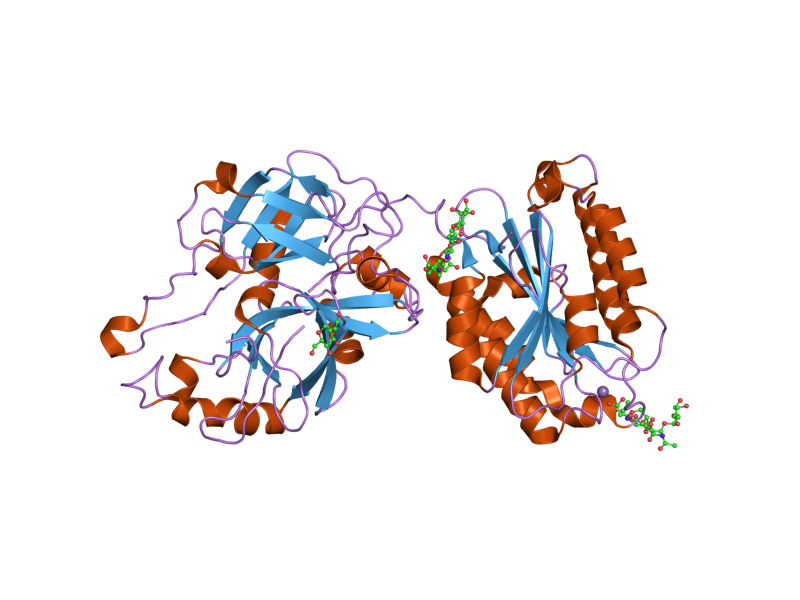 File:PDB 2i6q EBI.png