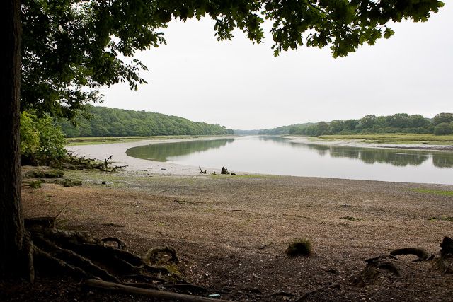 File:River Hamble - geograph.org.uk - 1375204.jpg