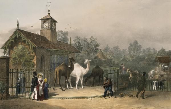 File:View of the Zoological Gardens1835.jpg