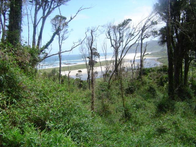 File:Abtao-Parque Nacional Chiloé.jpg