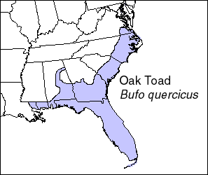 File:Bufo quercicus range, eshashoua.png