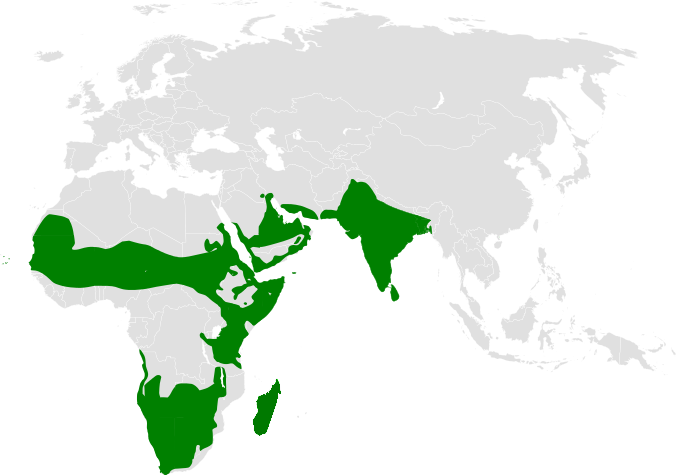 File:Eremopterix distribution map.png