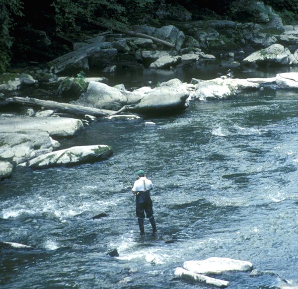 File:McConnells Mill State Park Fishing.jpg