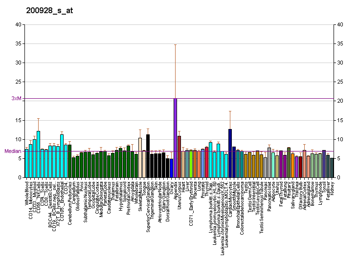 File:PBB GE RAB14 200928 s at fs.png