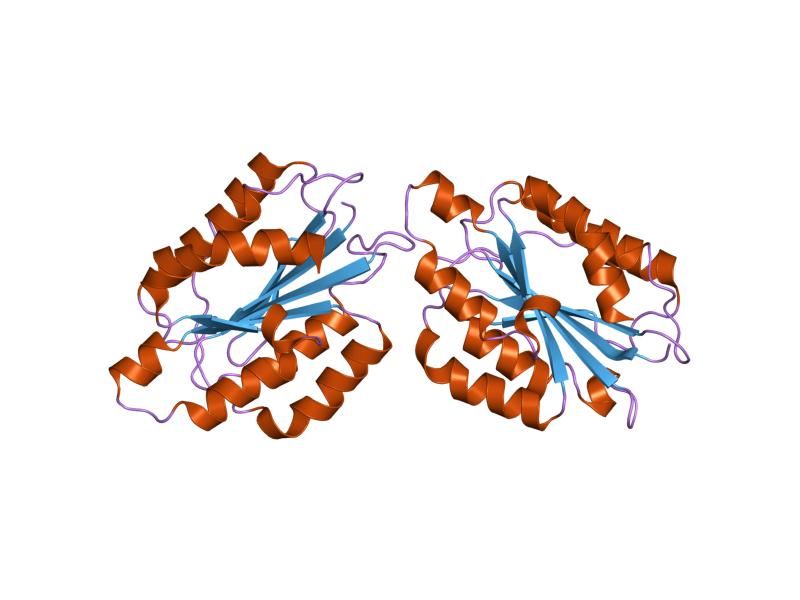 File:PDB 1ck4 EBI.jpg