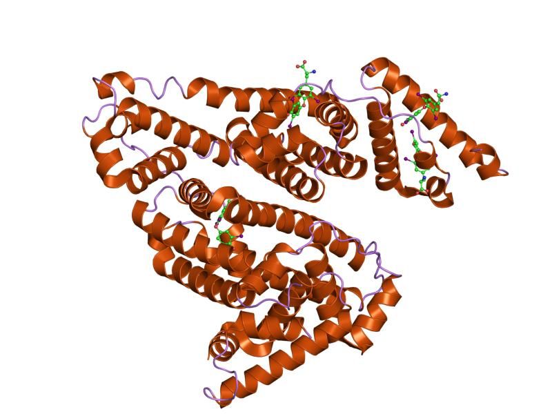 File:PDB 1hk1 EBI.jpg