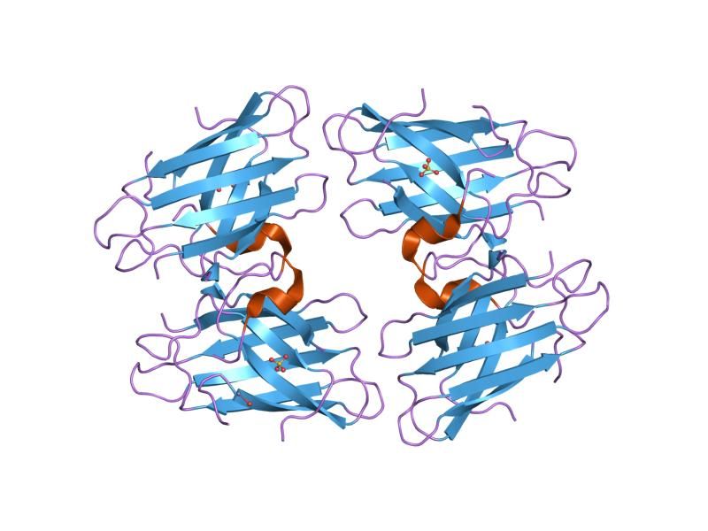 File:PDB 1oez EBI.jpg