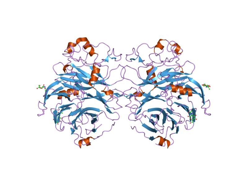 File:PDB 1q47 EBI.jpg