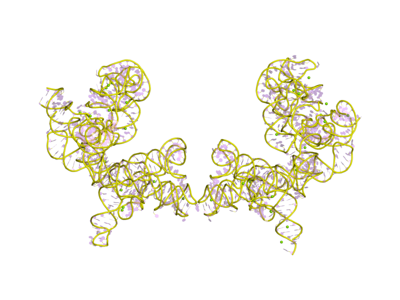 File:PDB 1x8w EBI.png