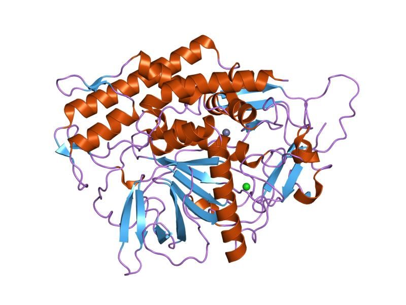 File:PDB 1xtg EBI.jpg