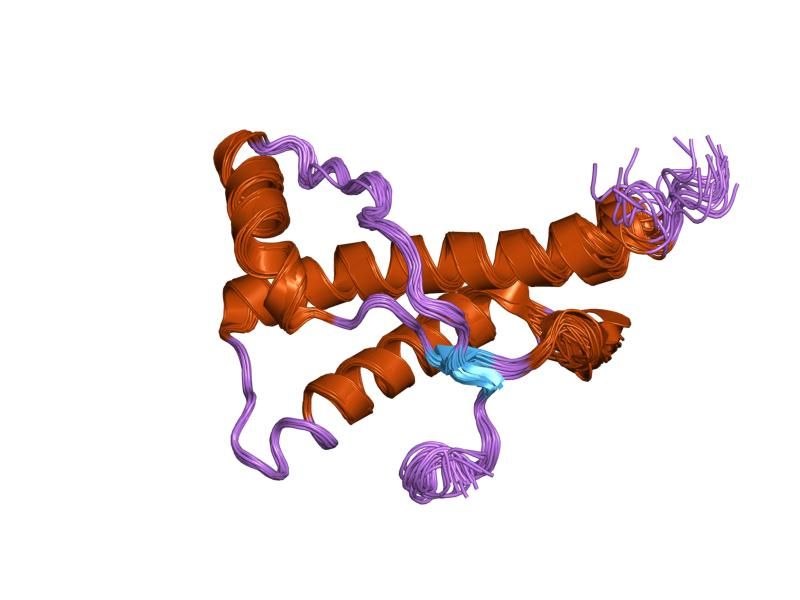 File:PDB 1xyx EBI.jpg