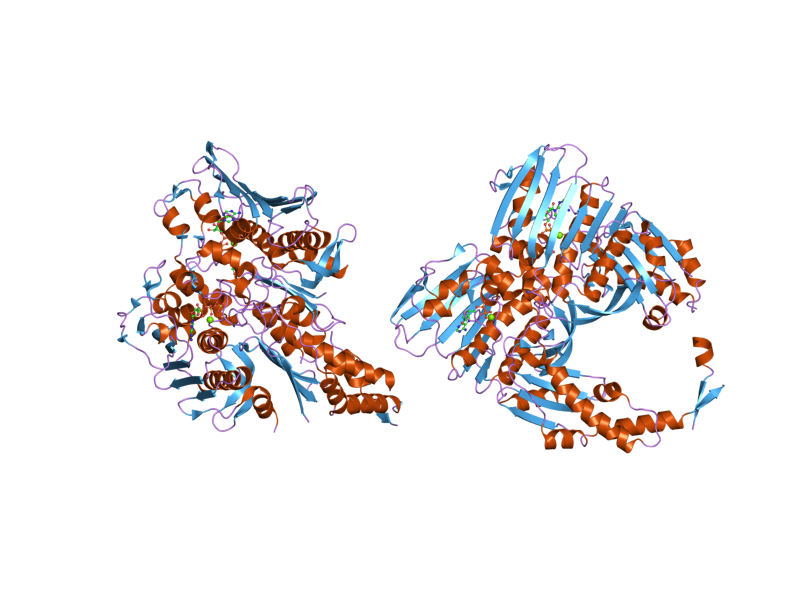 File:PDB 1zxn EBI.png