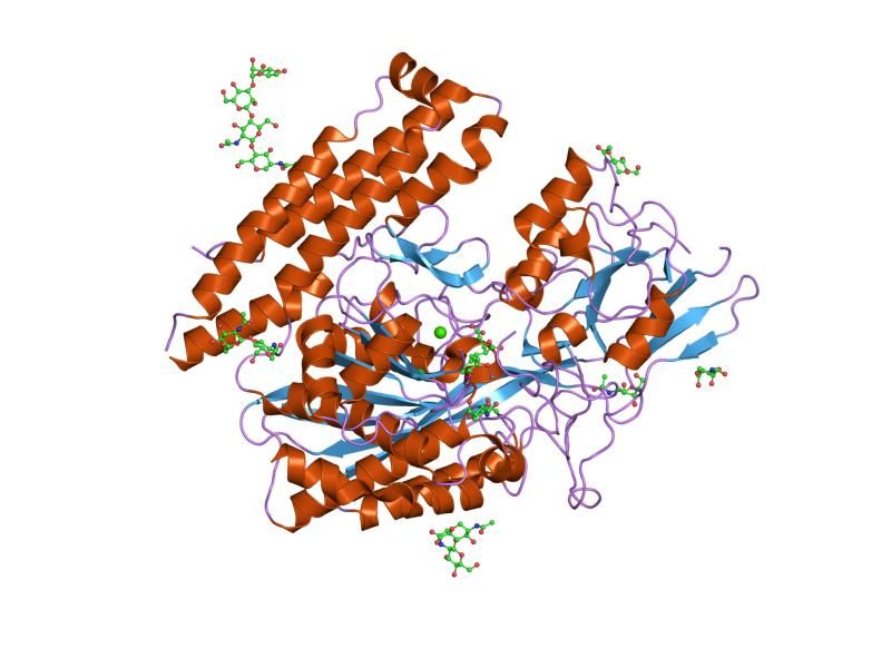 File:PDB 2c6c EBI.jpg