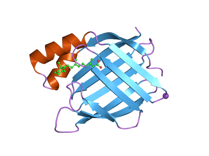 File:PDB 2g78 EBI.png