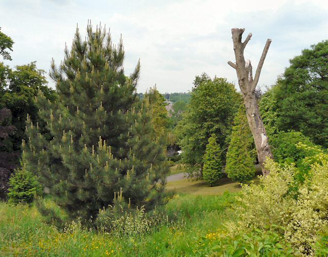 File:Vernon Park - geograph.org.uk - 1333922.jpg