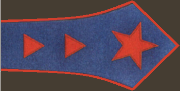 File:Нарукавный знак 19222.png