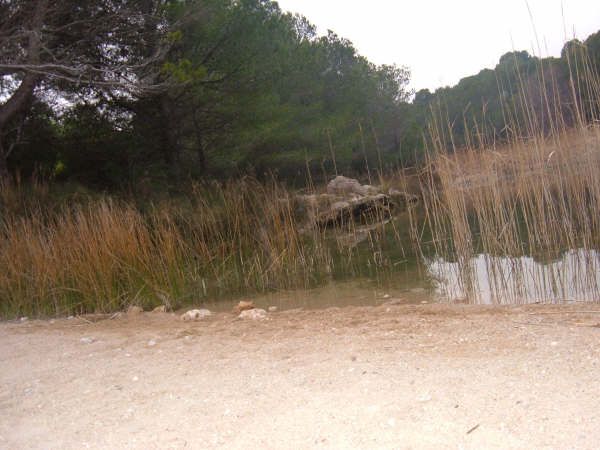 File:Ametlla Mar Platja Torrent del Pi.JPG