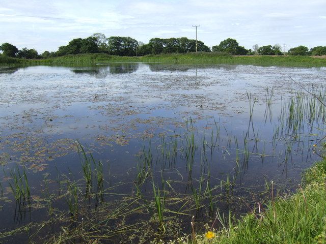 File:Chidlow - Pond at Hill Top Farm.jpg