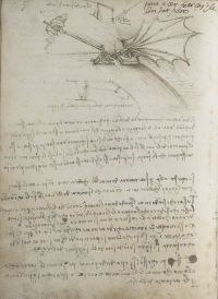 File:Codex on the Flight of Birds.jpg